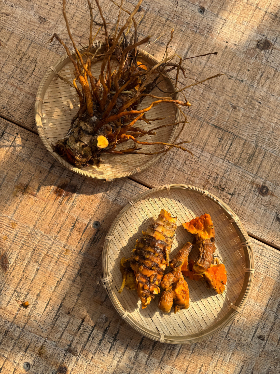 Reflection & Recipes: Roots & Remedies, a collaboration with Kebon Dapor
