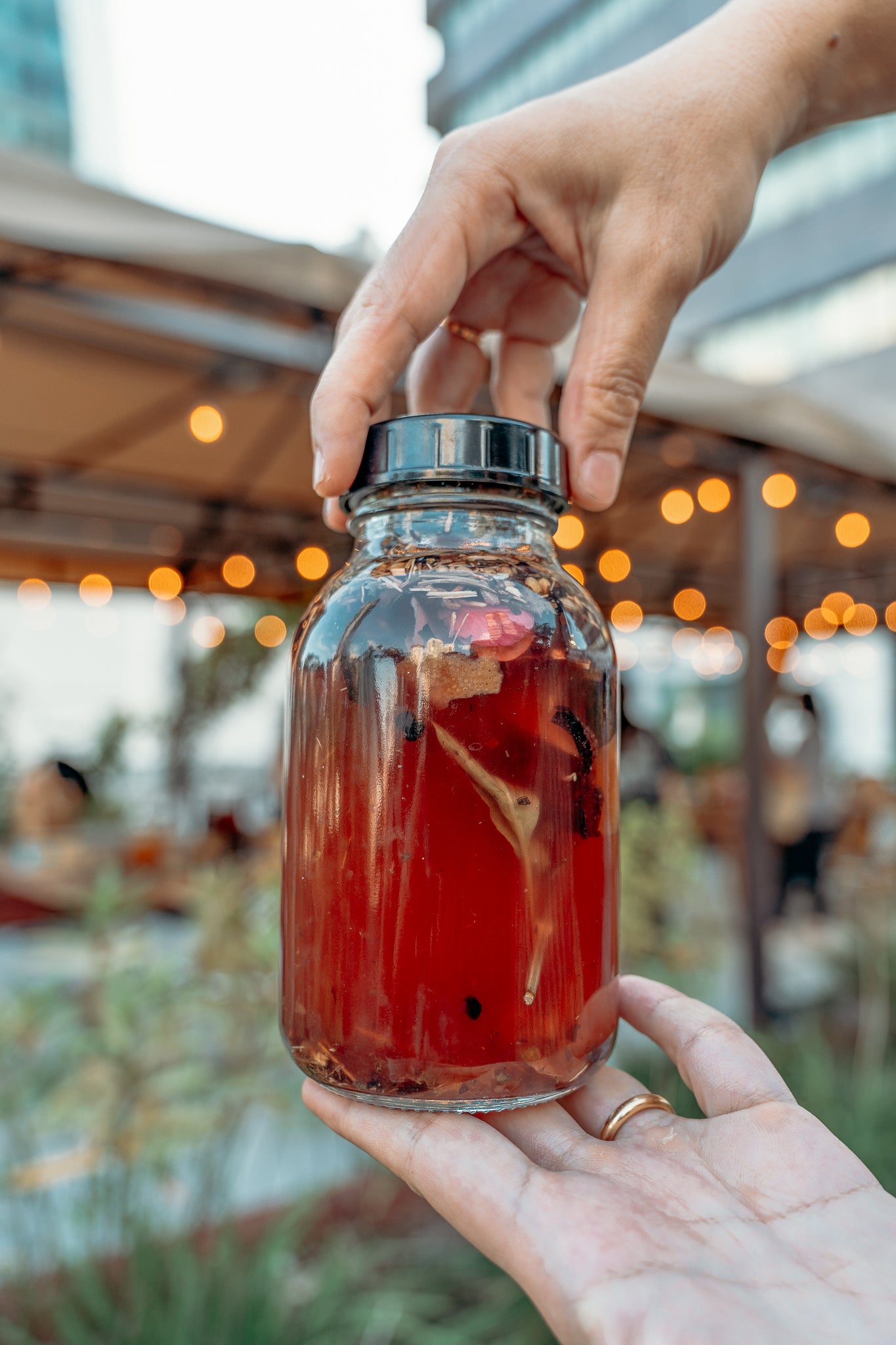 Medicinal Plants in Fermentation: Wild Cultures Herbal Tonic Workshop