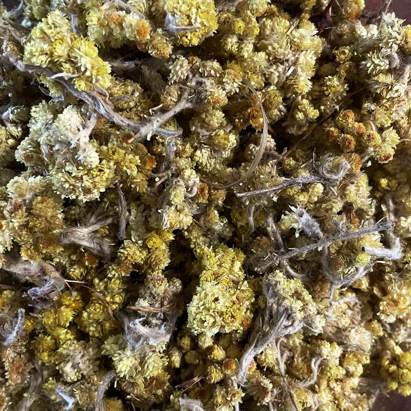 Mother Earth Kombucha