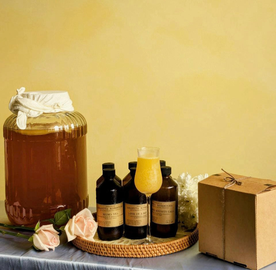 Fermented Drinks Bundle