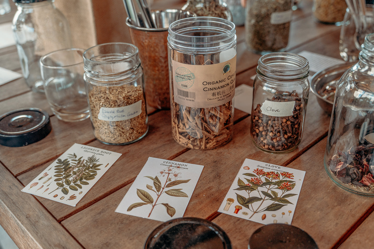 Medicinal Plants in Fermentation: Wild Cultures Herbal Tonic Workshop
