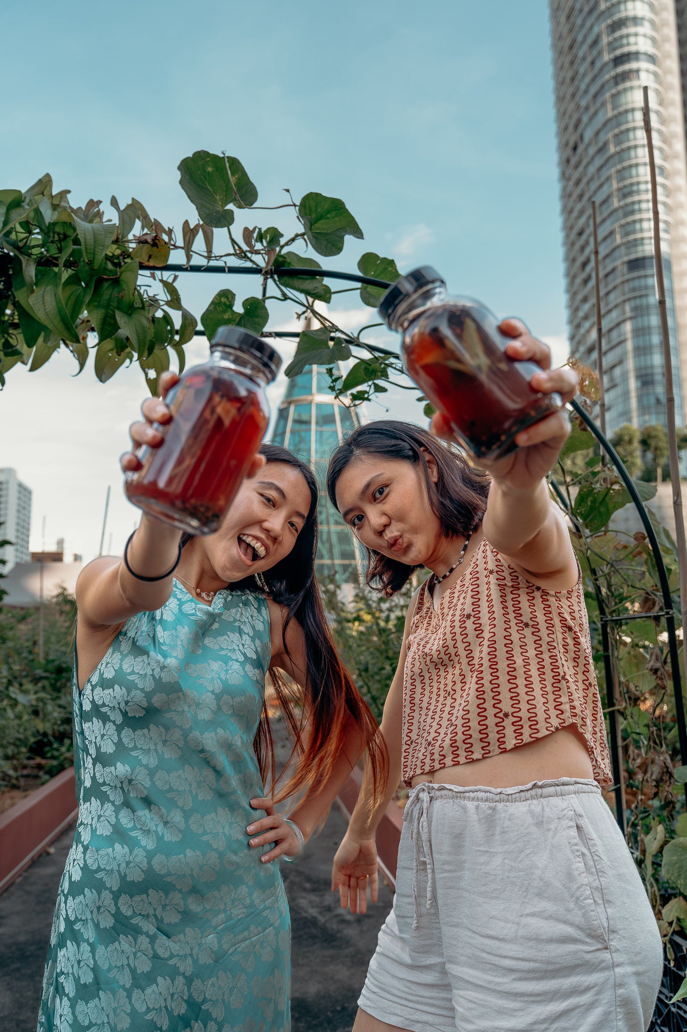 Medicinal Plants in Fermentation: Wild Cultures Herbal Tonic Workshop