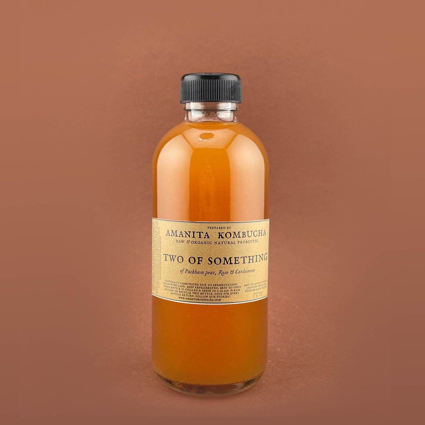 Two of Something Kombucha